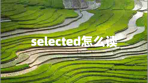 selected怎么讀