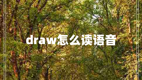 draw怎么讀語音