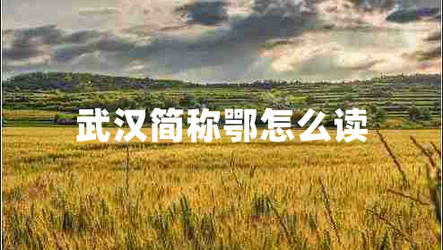 武漢簡(jiǎn)稱鄂怎么讀