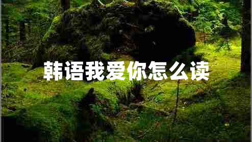韓語我愛你怎么讀 韓語我愛你怎么讀