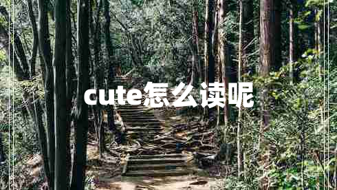 cute怎么讀呢