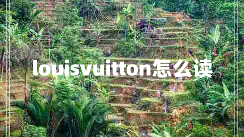 louisvuitton怎么讀 louisvuitton怎么讀