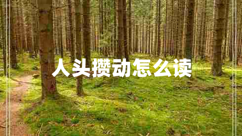 人頭攢動怎么讀