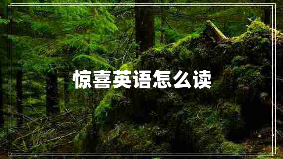 驚喜英語怎么讀