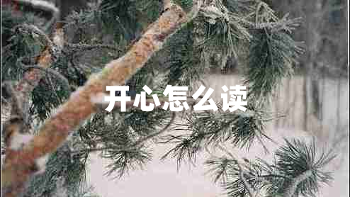 開心怎么讀
