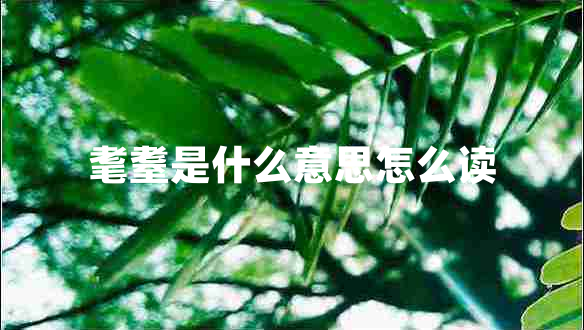 耄耋是什么意思怎么讀