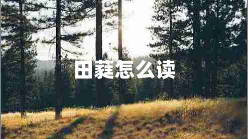 田蕤怎么讀
