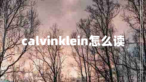 calvinklein怎么讀