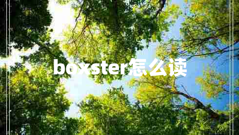 boxster怎么讀