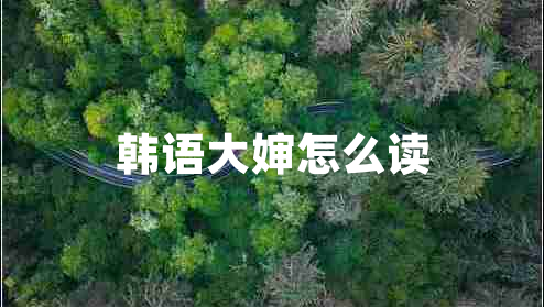 韓語大嬸怎么讀 韓語大嬸怎么讀