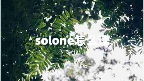 solone怎么讀 solone怎么讀