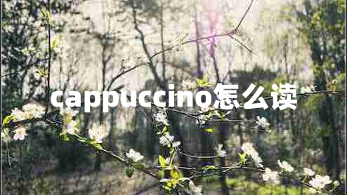 cappuccino怎么讀