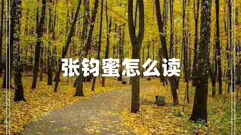 張鈞蜜怎么讀 張鈞蜜怎么讀