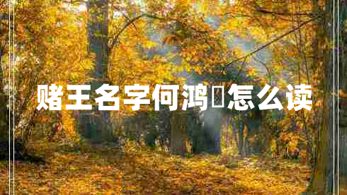 賭王名字何鴻燊怎么讀