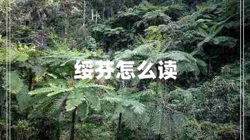 綏芬怎么讀 綏芬怎么讀