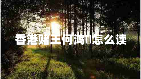 香港賭王何鴻燊怎么讀 香港賭王何鴻燊怎么讀