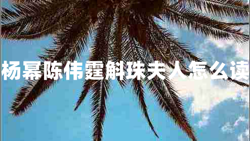 楊冪陳偉霆斛珠夫人怎么讀