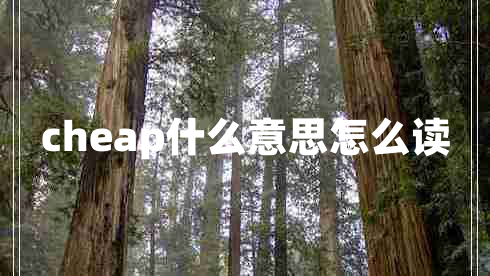cheap什么意思怎么讀