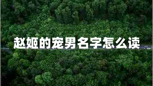 趙姬的寵男名字怎么讀