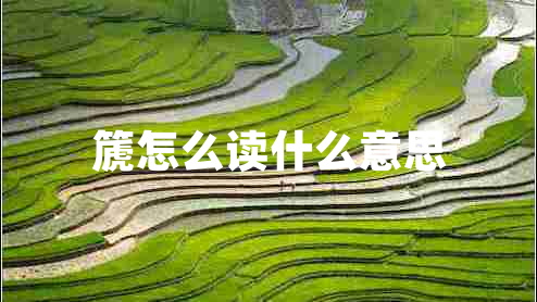 篪怎么讀什么意思