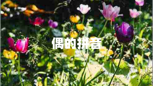 偶的拼音 偶的拼音