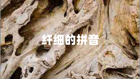 纖細(xì)的拼音