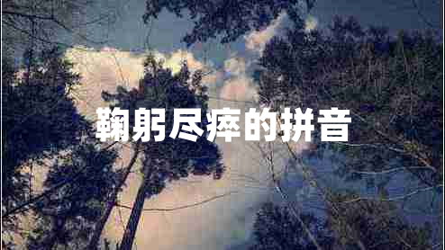 鞠躬盡瘁的拼音 鞠躬盡瘁的拼音