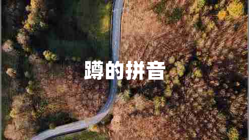 蹲的拼音 蹲的拼音