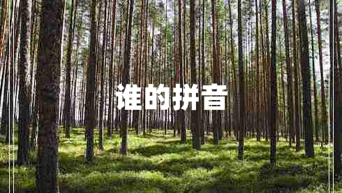 誰的拼音