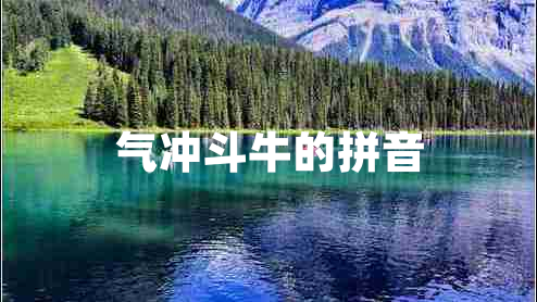 氣沖斗牛的拼音 氣沖斗牛的拼音