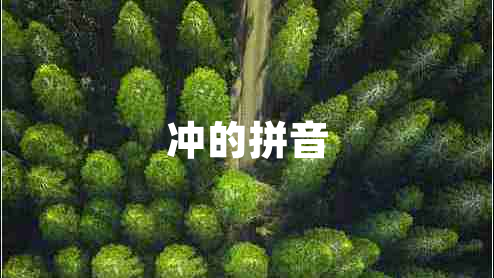 沖的拼音 沖的拼音