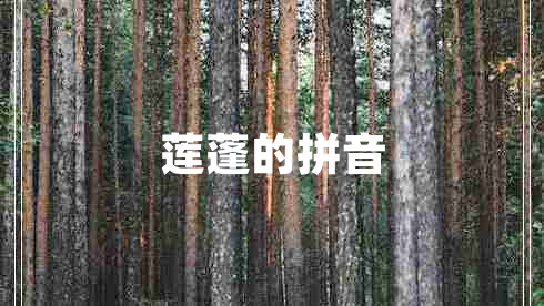 蓮蓬的拼音 蓮蓬的拼音