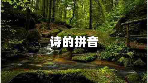 詩(shī)的拼音