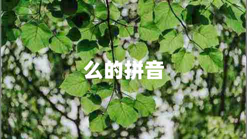 么的拼音 么的拼音