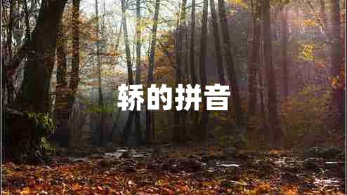 轎的拼音 轎的拼音