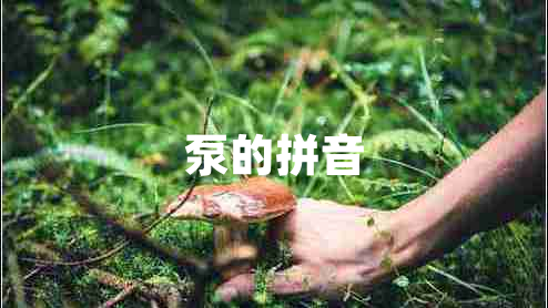 泵的拼音 泵的拼音