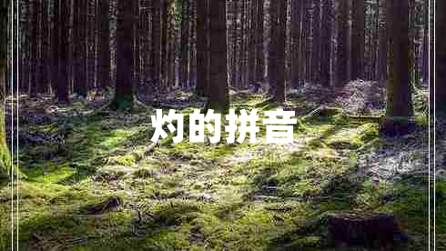 灼的拼音 灼的拼音