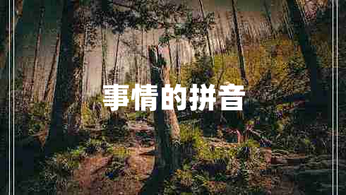 事情的拼音 事情的拼音