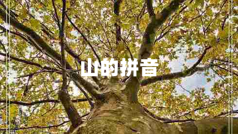 山的拼音 山的拼音