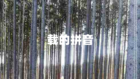 載的拼音 載的拼音