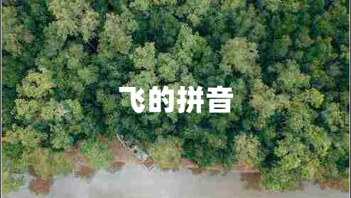 飛的拼音