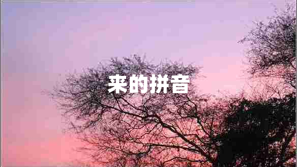 來的拼音