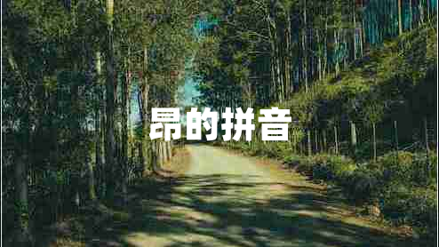 昂的拼音 昂的拼音