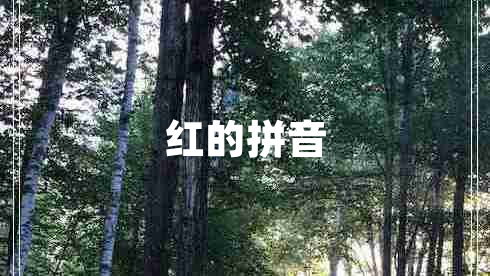 紅的拼音 紅的拼音