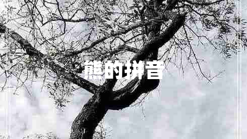 熊的拼音 熊的拼音