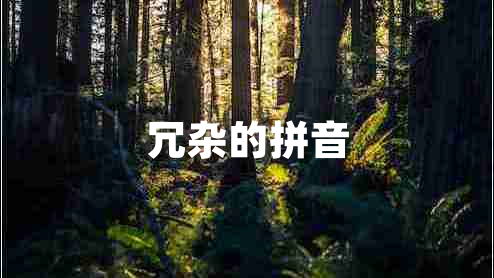 冗雜的拼音 冗雜的拼音