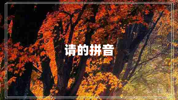 請(qǐng)的拼音
