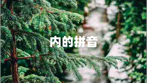 內(nèi)的拼音