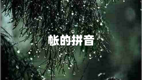 帳的拼音 帳的拼音