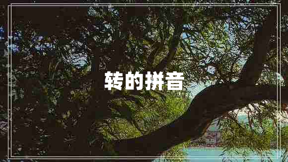 轉的拼音 轉的拼音